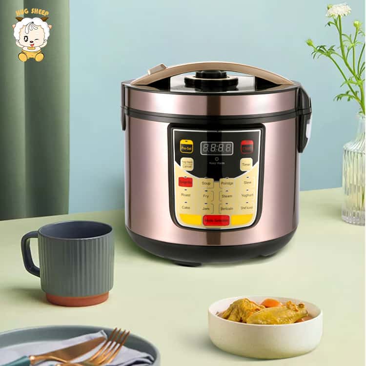 5L Low Sugar Olla Eléctrica Multifunción OEM | HS-Rs509 - detalle del producto