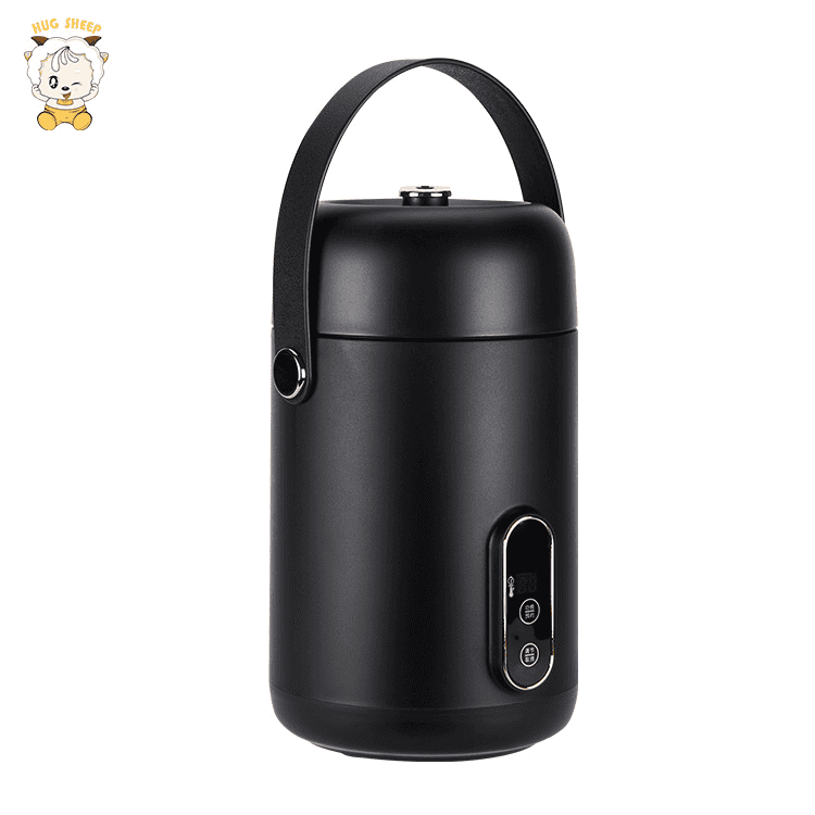 Mini Portable Fiambrera Eléctrica OEM | ZT-TG08 - detalle del producto